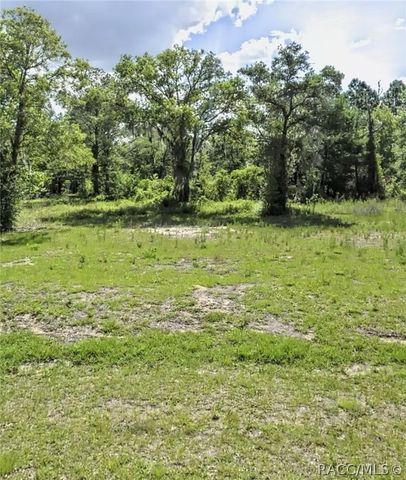 TBD SW Hyacinth Court, Dunnellon, FL 34431