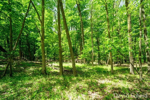 10225 River Shore Drive, Caledonia, MI 49316