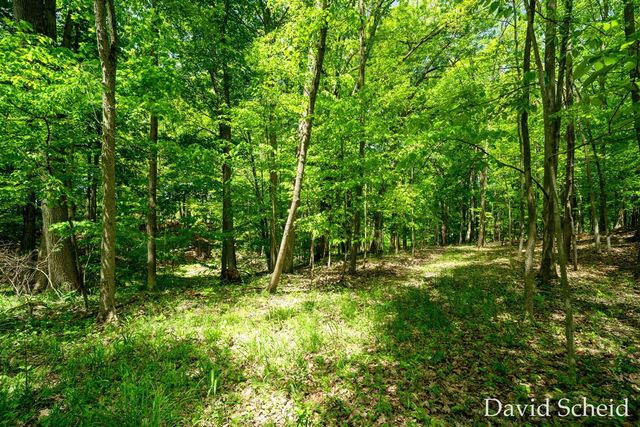10225 River Shore Drive, Caledonia, MI 49316