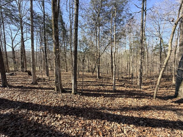 1324 Edmenson Rd, Clarksville, TN 37040