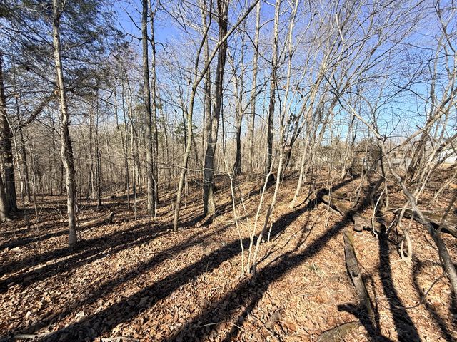 1324 Edmenson Rd, Clarksville, TN 37040