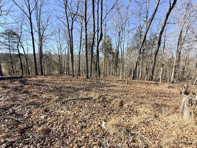 1324 Edmenson Rd, Clarksville, TN 37040