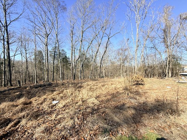 1324 Edmenson Rd, Clarksville, TN 37040