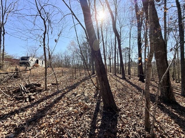 1324 Edmenson Rd, Clarksville, TN 37040