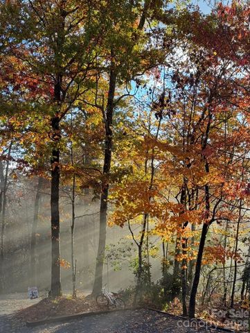 410 Forest Lake Road, Brevard, NC 28712