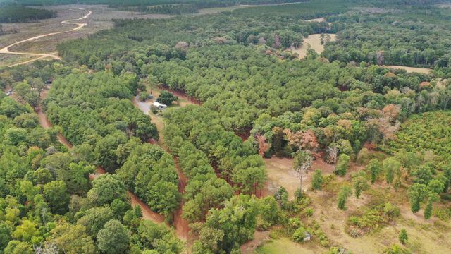 380 Arnold Dowden Rd, Hornbeck, LA 71439