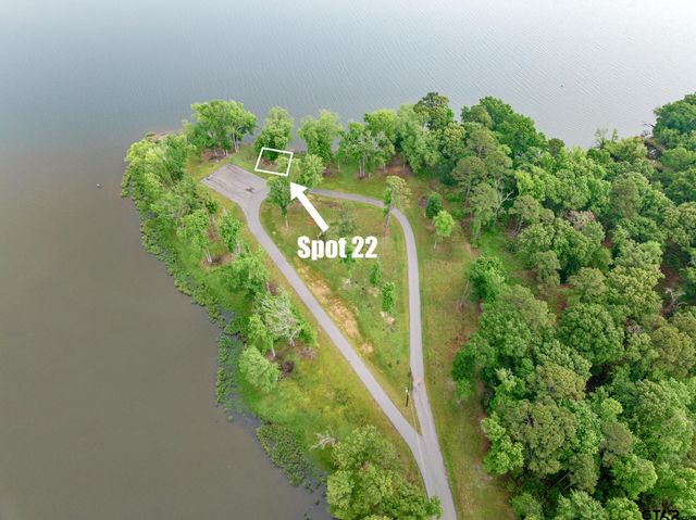 3121 Shadow Pine Drive, Larue, TX 75770