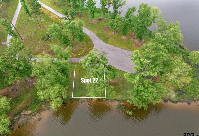 3121 Shadow Pine Drive, Larue, TX 75770
