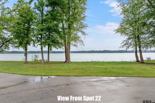 3121 Shadow Pine Drive, Larue, TX 75770