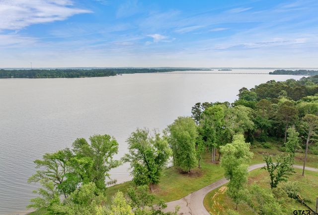 3121 Shadow Pine Drive, Larue, TX 75770