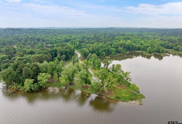 3121 Shadow Pine Drive, Larue, TX 75770