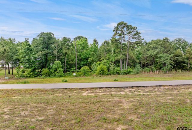 3121 Shadow Pine Drive, Larue, TX 75770