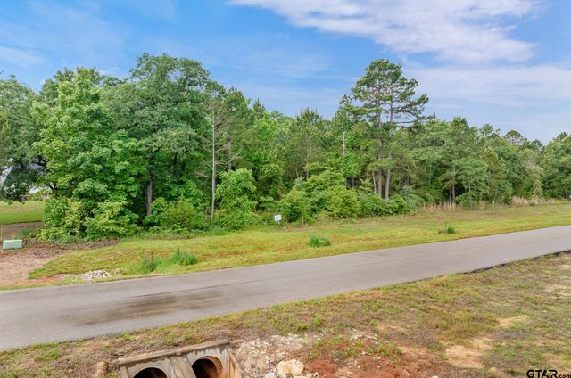 3121 Shadow Pine Drive, Larue, TX 75770