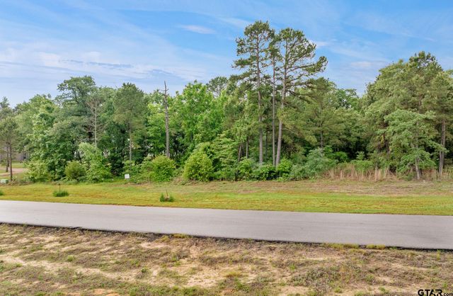 3121 Shadow Pine Drive, Larue, TX 75770