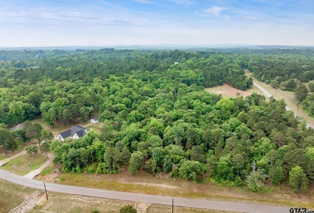 3121 Shadow Pine Drive, Larue, TX 75770