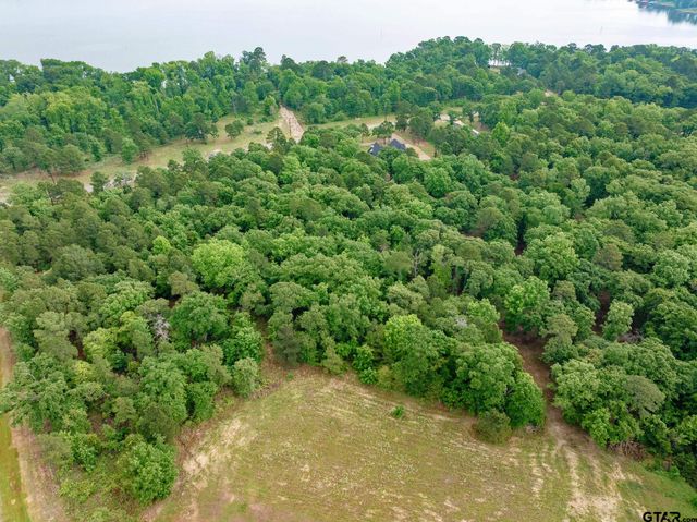 3121 Shadow Pine Drive, Larue, TX 75770