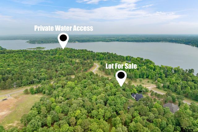 3121 Shadow Pine Drive, Larue, TX 75770