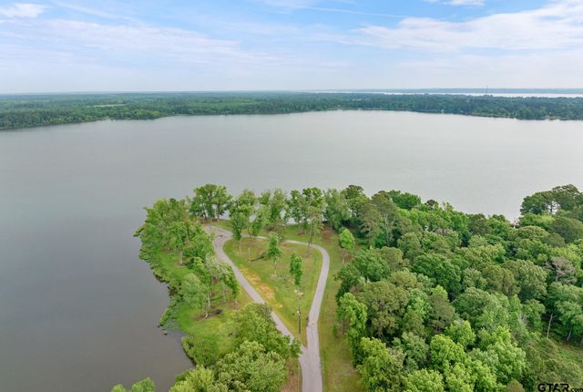 3121 Shadow Pine Drive, Larue, TX 75770