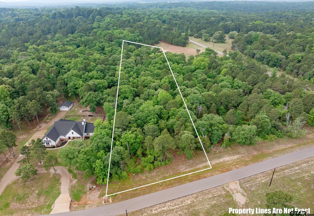 3121 Shadow Pine Drive, Larue, TX 75770