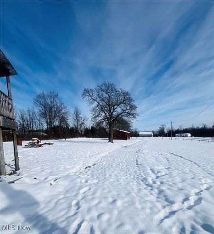 11179 Madison Road, Huntsburg, OH 44046