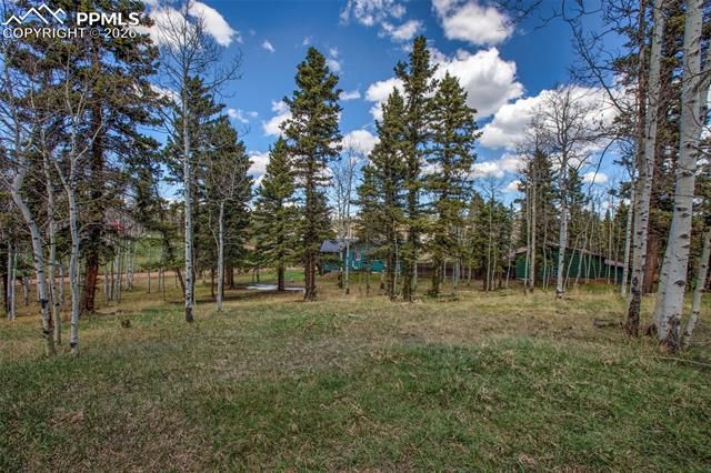 571 Will Scarlet Drive, Divide, CO 80814