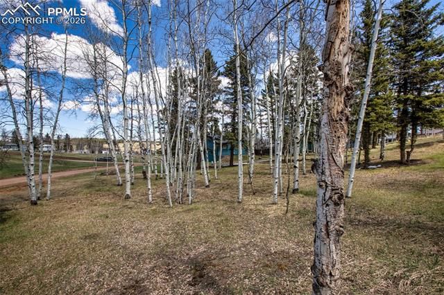 571 Will Scarlet Drive, Divide, CO 80814