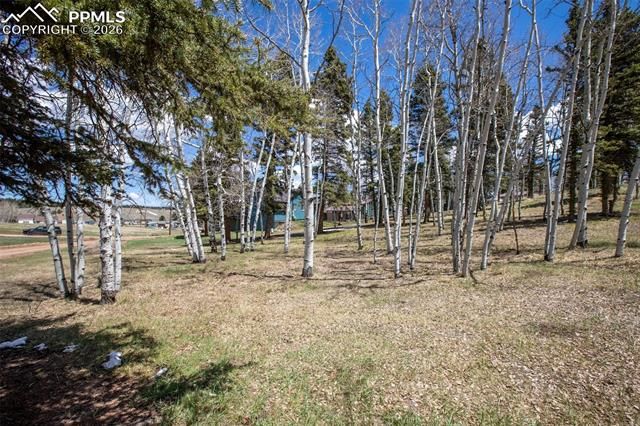 571 Will Scarlet Drive, Divide, CO 80814
