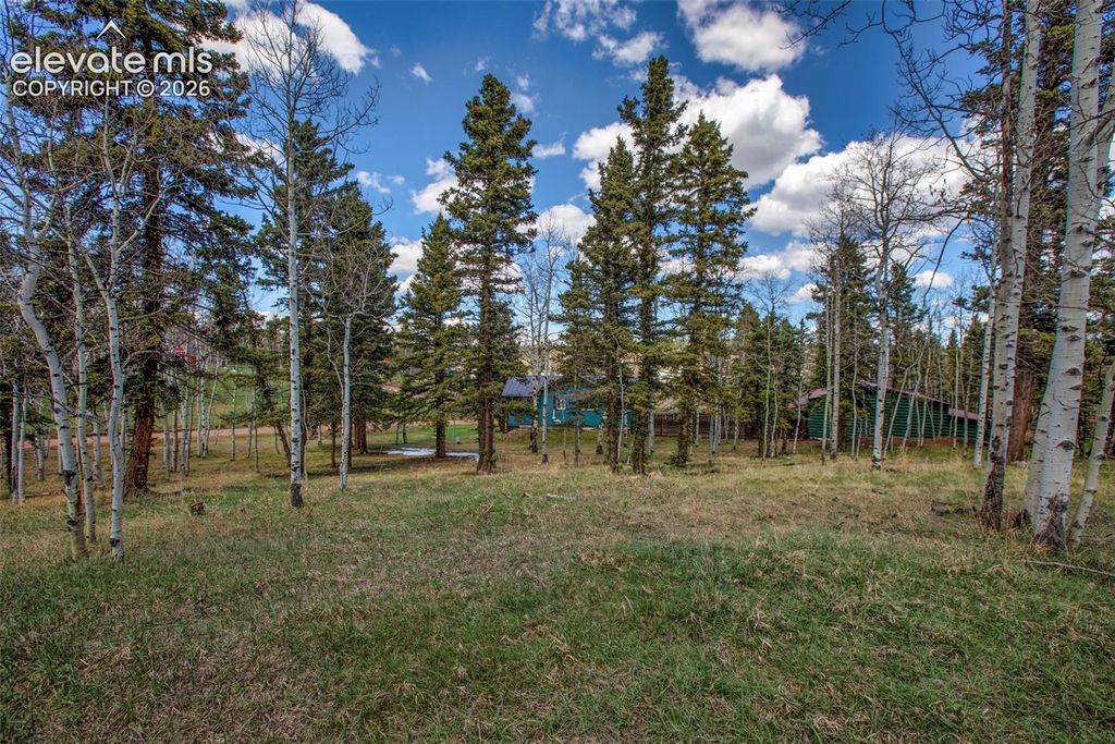 571 Will Scarlet Drive, Divide, CO 80814 — photo 2