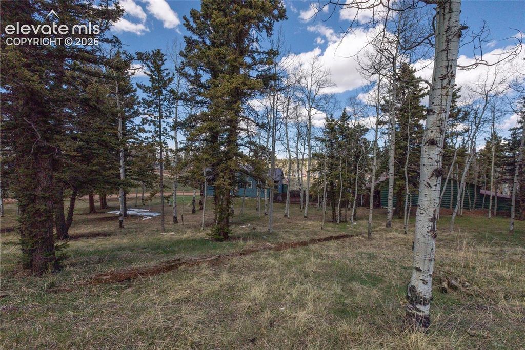 571 Will Scarlet Drive, Divide, CO 80814 — photo 3