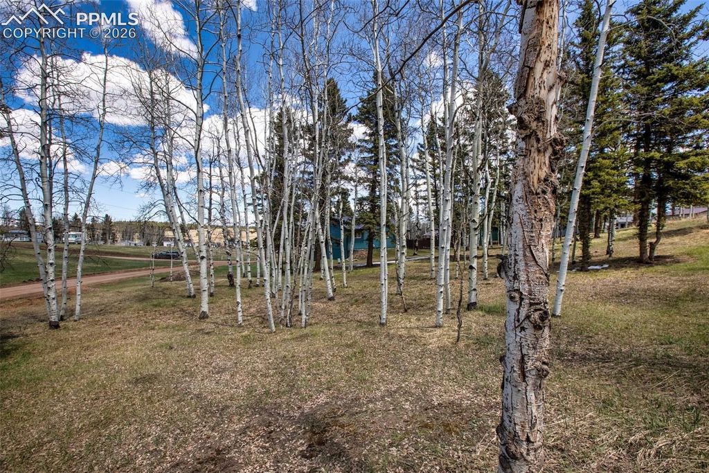 571 Will Scarlet Drive, Divide, CO 80814 — photo 5