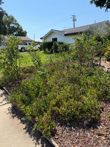 10559 Olson Dr, Rancho Cordova, CA 95670