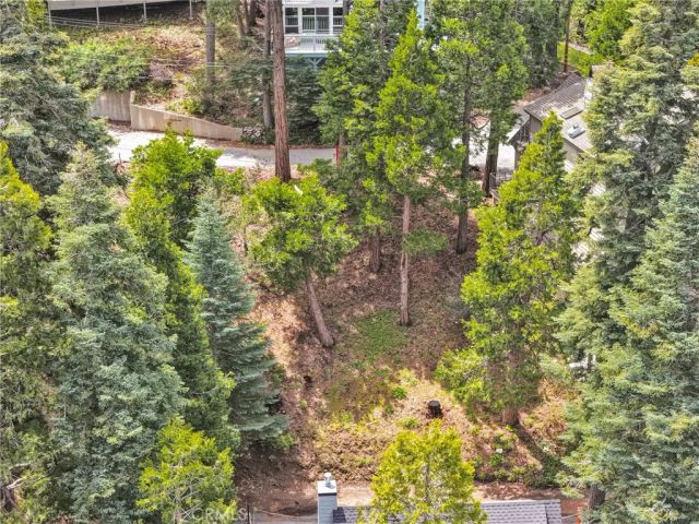 325 Mittry, Lake Arrowhead, CA 92352