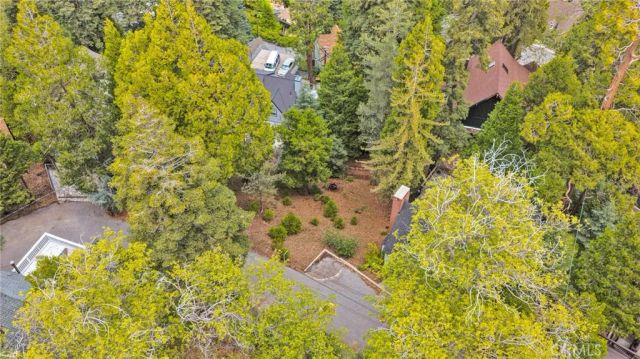 325 Mittry, Lake Arrowhead, CA 92352