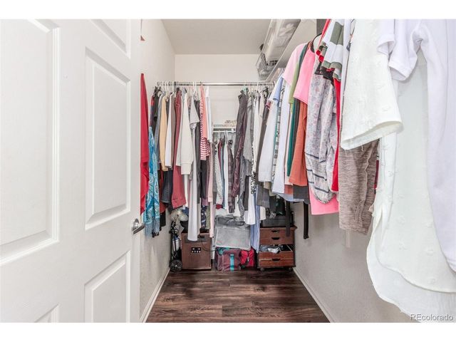 457 Black Feather Loop 702, Castle Rock, CO 80104