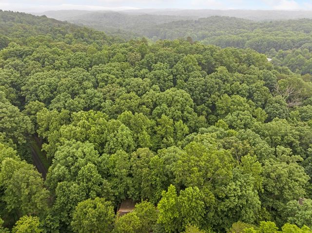 65 Dogwood Lane, Ellijay, GA 30540