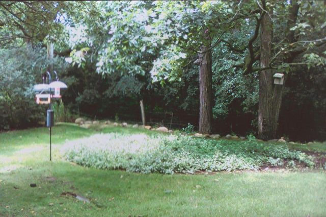 W287N6575 Hibritten WAY, Hartland, WI 53029