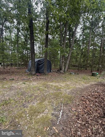 211 KENTUCKY TRL, Browns Mills, NJ 08015