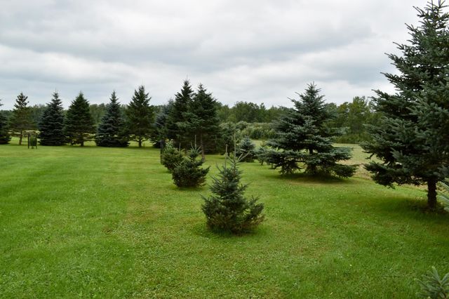 1610 Plum Street, Grasston, MN 55030