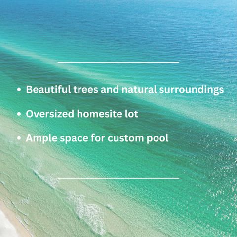 2552 Pathways Drive, Inlet Beach, FL 32461