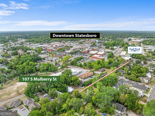 107 S Mulberry Street, Statesboro, GA 30458