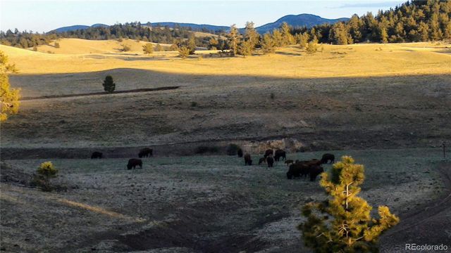 79 Quail Court, Hartsel, CO 80449