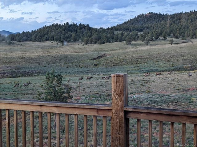 79 Quail Court, Hartsel, CO 80449