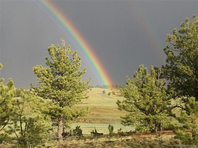 79 Quail Court, Hartsel, CO 80449