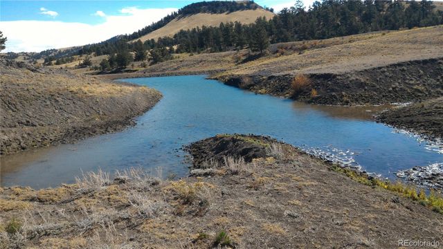 79 Quail Court, Hartsel, CO 80449