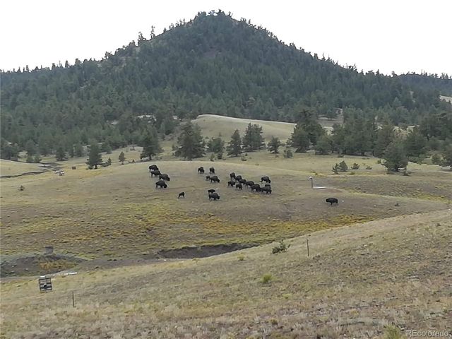 79 Quail Court, Hartsel, CO 80449