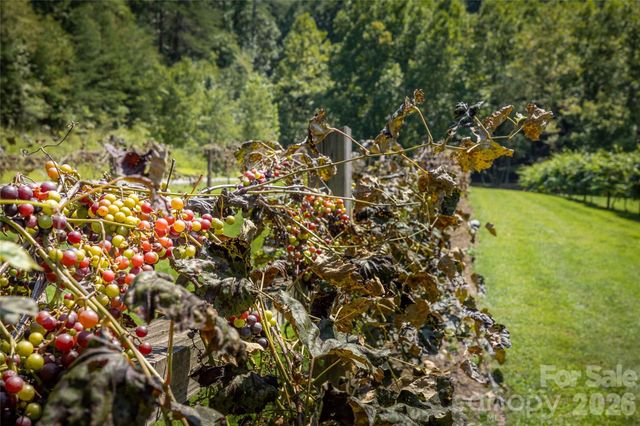 140 Johns Ridge Parkway 140, Lenoir, NC 28645