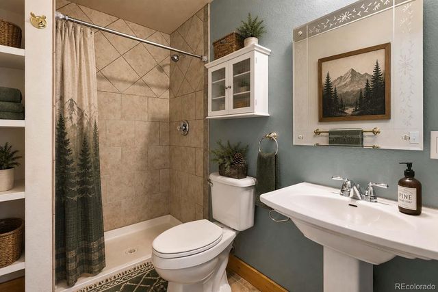 481 Black Bear Trail, Woodland Park, CO 80863