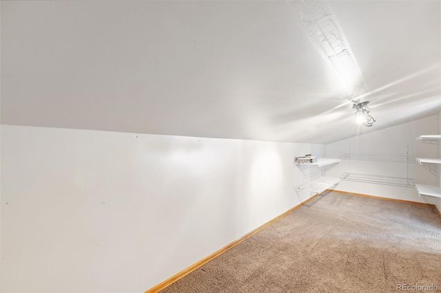 481 Black Bear Trail, Woodland Park, CO 80863