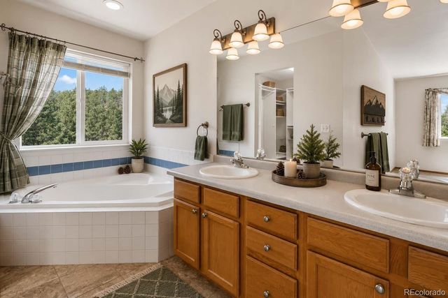 481 Black Bear Trail, Woodland Park, CO 80863