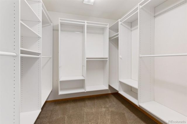 481 Black Bear Trail, Woodland Park, CO 80863